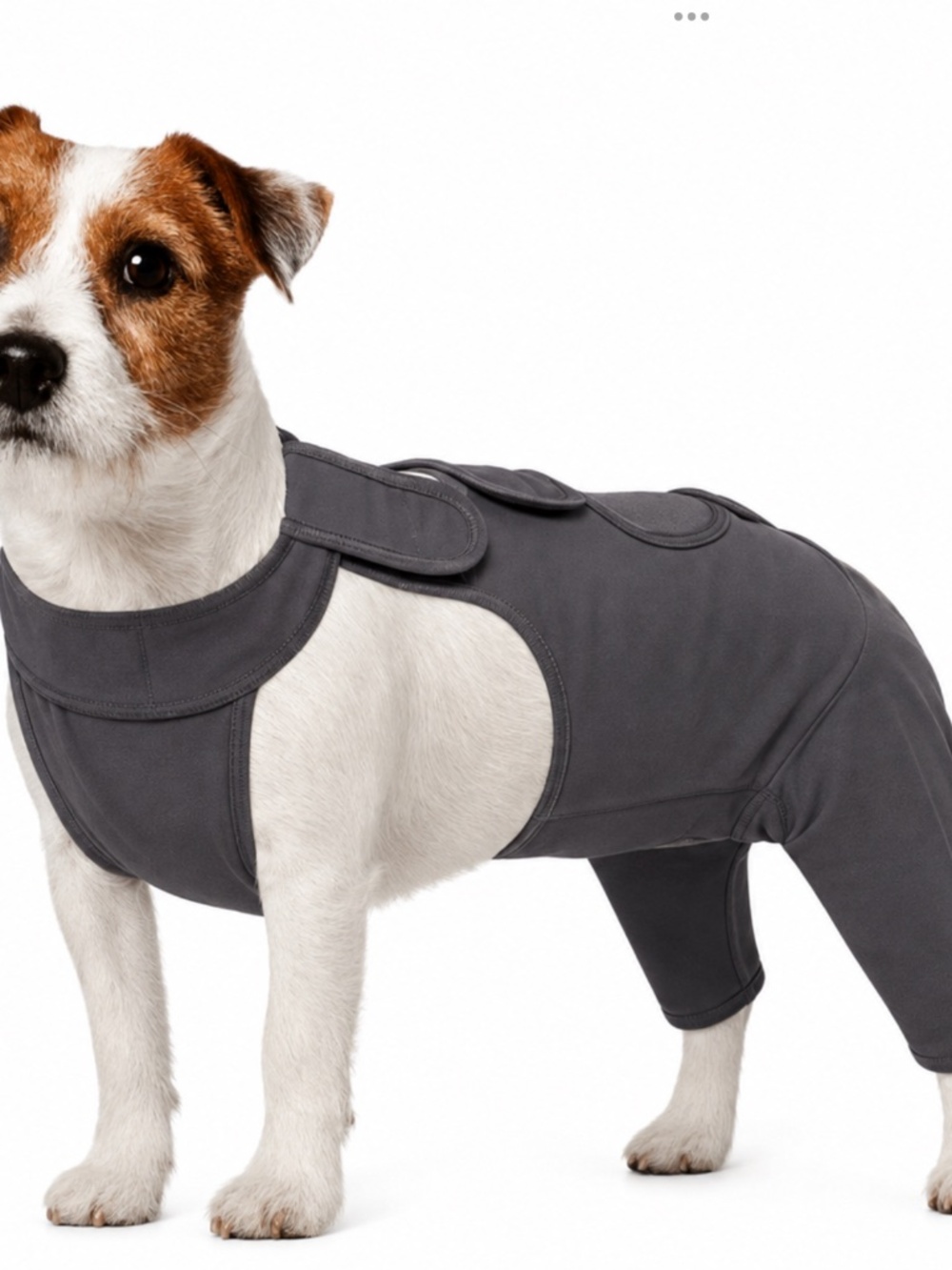 NWT Kuoser Dog Recovery Suit For Back Legs